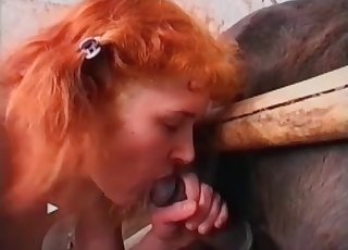 Horse and big-breasted redhead zoophile
